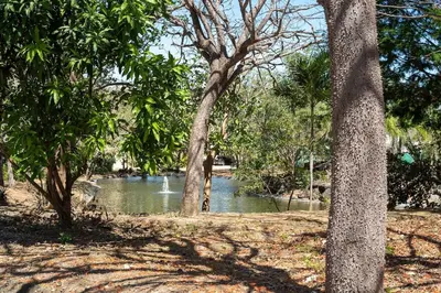 a view of a river through a forest with trees at Luxury 3BR Gated Villa - Private Pool in Tamarindo in Tamarindo