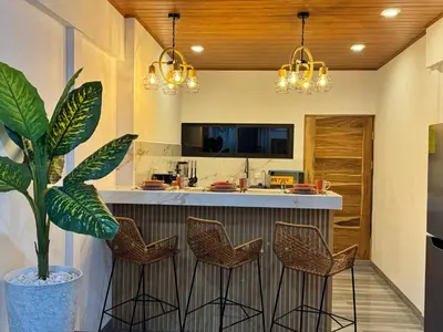 a kitchen with a bar with chairs and a plant at Harol reyes in Liberia