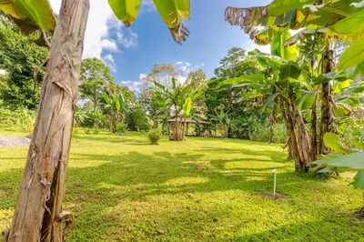 a field with trees and a wooden pole at Rio Celeste Birds Garden Apartment with Air Conditioning Comfort and Privacy in a Natural Environment 4 in Upala