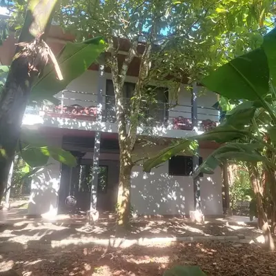 Family Cabin Surrounded by Nature - Patio & Pool