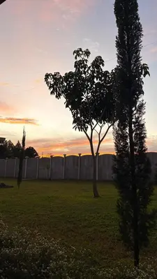 a tree in a field with the sunset in the background at Apartamento Decrusi in Alajuela City