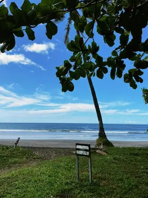 a bench in front of a beach with a tree at Casa Fabis en Playa Junquillal, Playa a 600m in Santa Cruz