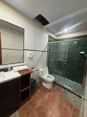 a bathroom with a shower and a toilet and a sink at Los Delfines 560 in Tambor