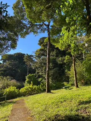 a path in a park with trees and a bench at Makena Rancho in Monteverde Costa Rica