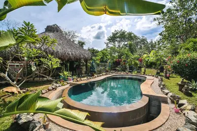 a swimming pool in a garden with a thatch roof at Flor y Bambu in Playa Grande