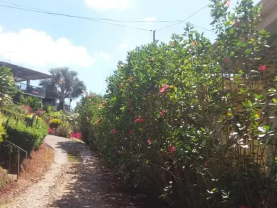 a garden with flowers and a dirt road at La Princesa Hotel in San Isidro