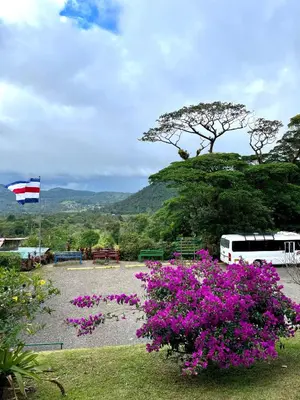 a bus parked in a park with purple flowers at Hotel y Puentes Colgantes Heliconias Rainforest Lodge in Bijagua