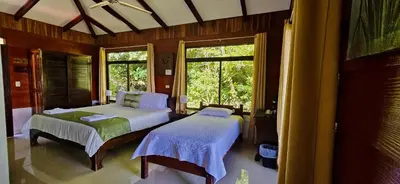 a bedroom with two beds and a window at Hotel y Puentes Colgantes Heliconias Rainforest Lodge in Bijagua