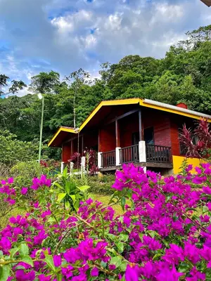 a house with pink flowers in front of it at Hotel y Puentes Colgantes Heliconias Rainforest Lodge in Bijagua
