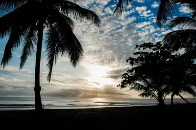 two palm trees on a beach with the sunset at Hotel Tortuguero Beachfront in Tortuguero