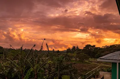 a sunset over a field with plants in the foreground at Hostel La Suerte in Monteverde Costa Rica
