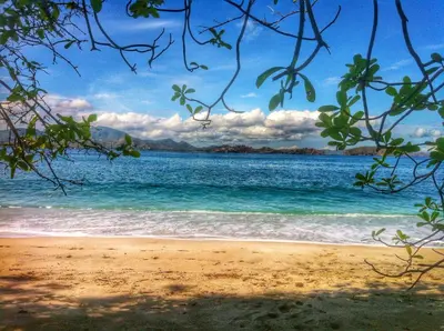 a view of the ocean from a beach at In the Shade Hotel - Coworking - 300Mbit - Adults Only in Tamarindo