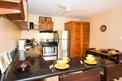 a kitchen with a counter top with a stove and refrigerator at Cozy Ground-Floor Condo with Community Pool, Rancho and Lush Garden Views in Brasilito