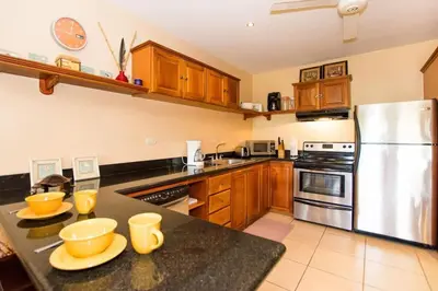 a kitchen with wooden cabinets and a stainless steel refrigerator at Cozy Ground-Floor Condo with Community Pool, Rancho and Lush Garden Views in Brasilito