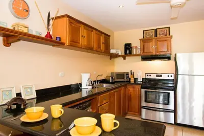 a kitchen with wooden cabinets and a stainless steel refrigerator at Cozy Ground-Floor Condo with Community Pool, Rancho and Lush Garden Views in Brasilito