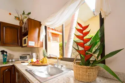 a kitchen counter with a sink and a window at Playa Potrero Apartments in Potrero