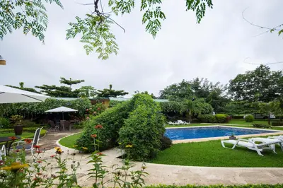 a garden with a swimming pool and plants at Playa Potrero Apartments in Potrero