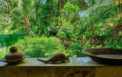 a figurine of a fish on a table next to a bowl at Casa Smilin' Dog in Tamarindo
