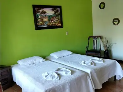two beds in a room with green walls at Dos Palmas Studio Apartments in Alajuela City