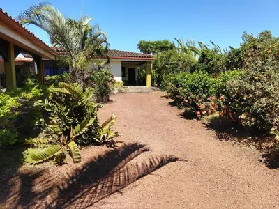 a dirt path leading to a house with trees and bushes at Dos Palmas Studio Apartments in Alajuela City