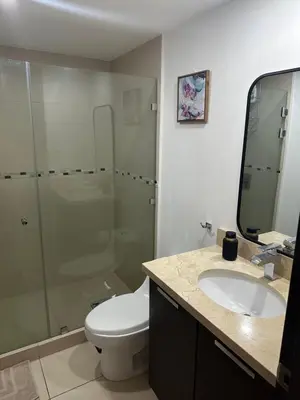 a bathroom with a toilet and a sink and a shower at Charming Two Bedroom with balcony in San José