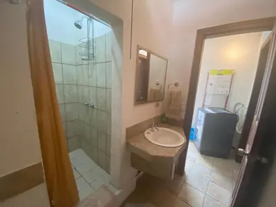 a bathroom with a sink and a shower at Sofia Apartments in Escalante, San Jose Center in San José