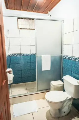 a bathroom with a toilet and a shower at Cabinas Lupita in Fortuna