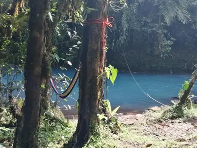a rope tied to a tree in front of a river at Cabinas Piuri in Rio Celeste