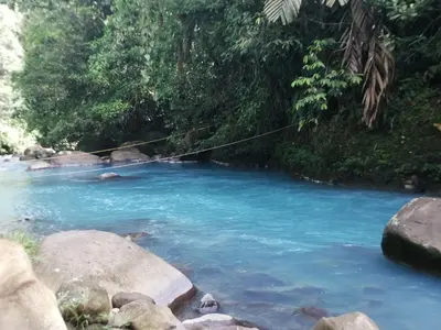 a stream in the jungle with a rope in the water at Cabinas Piuri in Rio Celeste