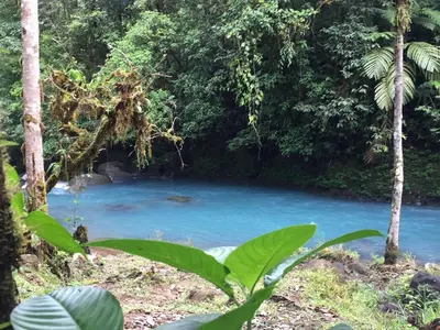 a river in the jungle with blue water at Cabinas Piuri in Rio Celeste