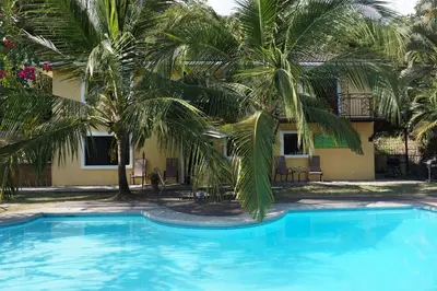 a swimming pool in front of a house with palm trees at Wipeout Guest House in Jacó