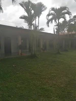 a building with palm trees in front of a yard at Hotel Vale's in Chiles