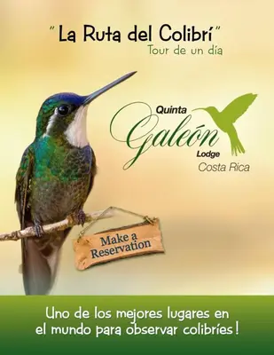 a bird sitting on a branch with a sign at Quinta Galeon Lodge in Santa María