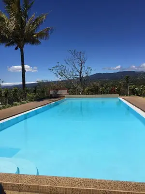 a large blue swimming pool with a palm tree at Cabinas Lindo Horizonte in San Pedro