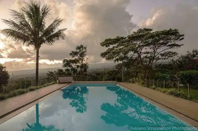 a swimming pool with a palm tree in the background at Cabinas Lindo Horizonte in San Pedro