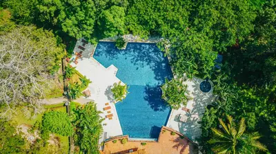 an overhead view of a large swimming pool in a forest at Papagayo Golden Palms Beachfront Hotel in Papagayo, Guanacaste