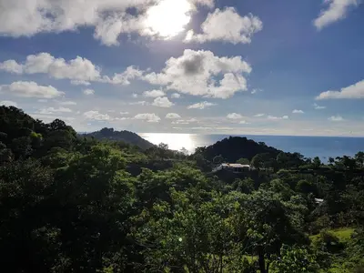 a view of the ocean from a hill with trees at Pura Natura Lodge Manuel Antonio in Manuel Antonio