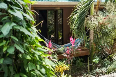 a hammock in a garden with plants at Ohana Villas in Santa Teresa Beach