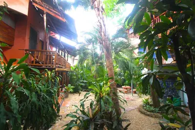 a courtyard of a house with a palm tree at Tico Adventure Lodge in Sámara