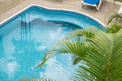 a blue swimming pool with a chair and a palm tree at Inn On The Park in Manuel Antonio