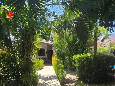 a house with a bunch of plants in front of it at Villas Kalimba in Sámara
