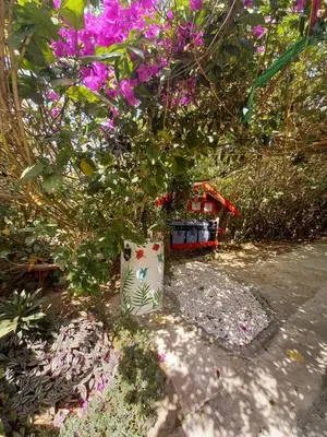 a vase filled with flowers sitting on the ground at Pensión y Cabinas Colibrí B&B Costa Rica in Monteverde Costa Rica
