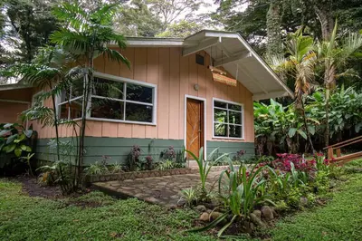 a small house with a green and pink at Forest Garden House in Monteverde Costa Rica