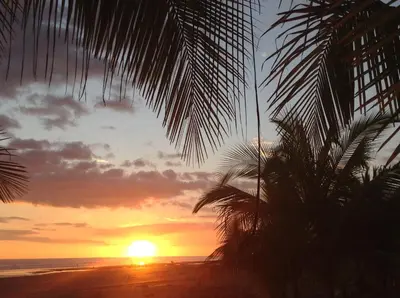a sunset on the beach with a palm tree at Casa Amarilla in Esterillos