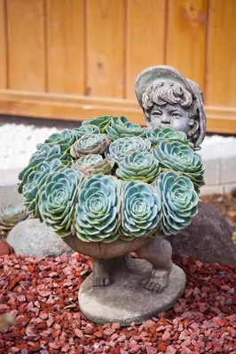 a statue of a boy in a peacock at Savegre Hotel Natural Reserve & Spa in San Gerardo de Dota