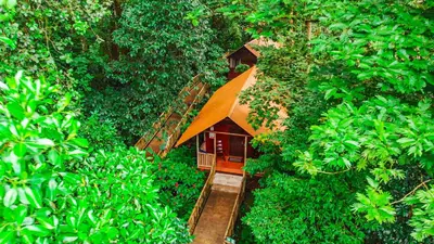 an overhead view of a small house in the forest at Aninga Lodge in Tortuguero