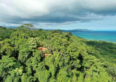 an aerial view of a hill with trees and the ocean at Stunnig Ocean View in Montezuma