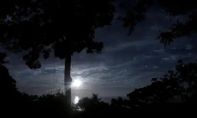 a tree with the sun in the sky at Stunnig Ocean View in Montezuma