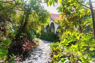 a garden path leading to a house at Hotel Claro de Luna in Monteverde Costa Rica