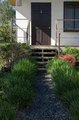 a house with a wooden door and stairs with plants at Posada Cañaveral in Ujarrás